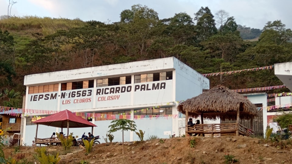 Colegio 16563 RICARDO PALMA - Los Cedros