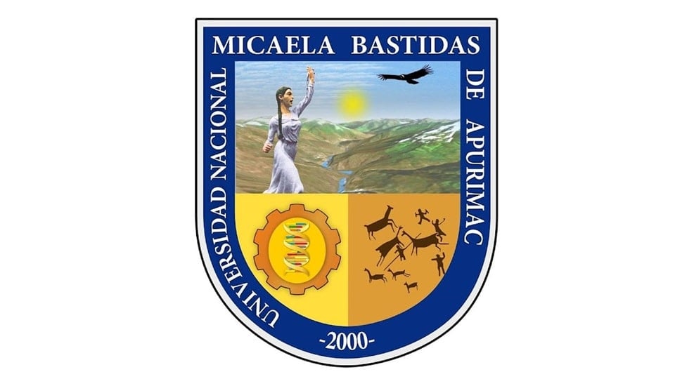 universidad nacional micaela bastidas