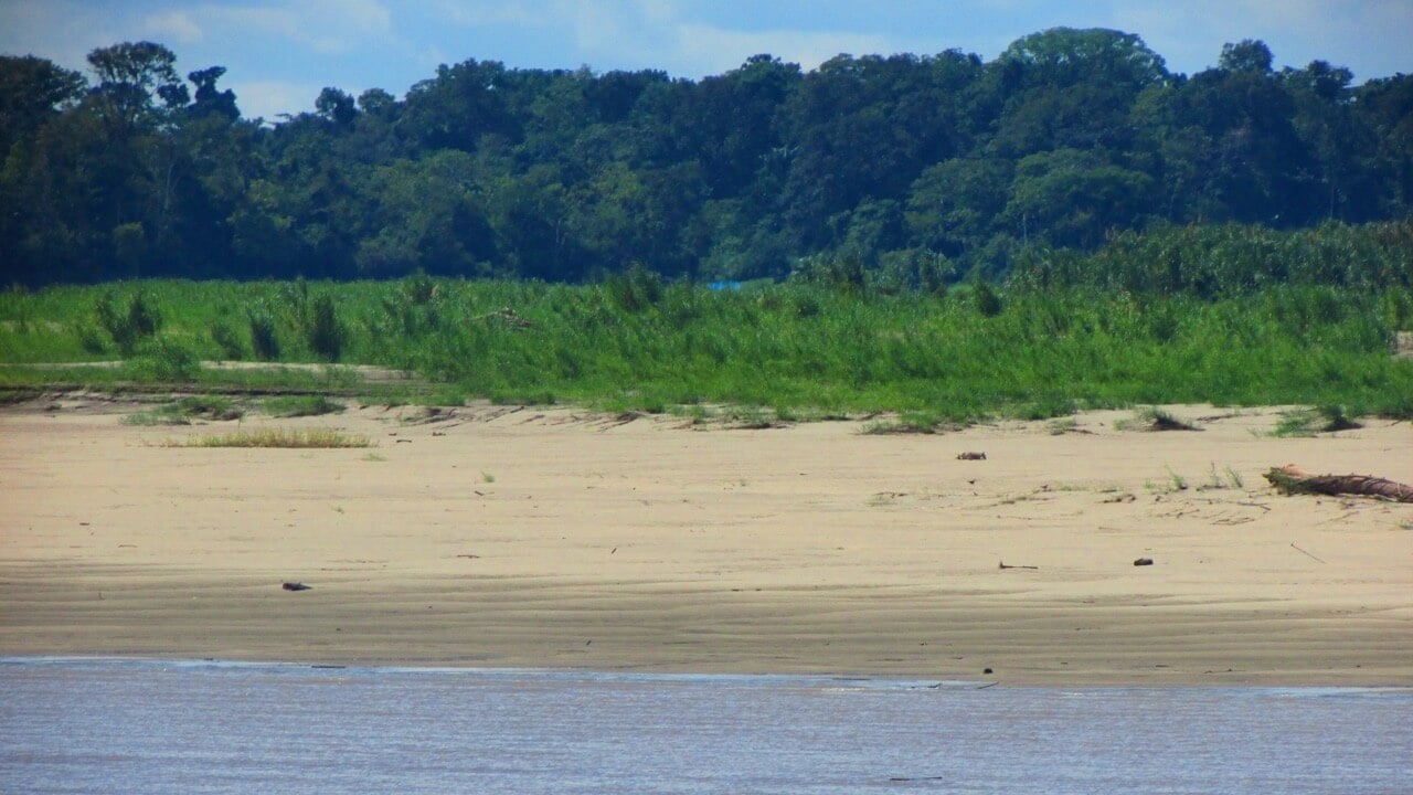 Ucayali
