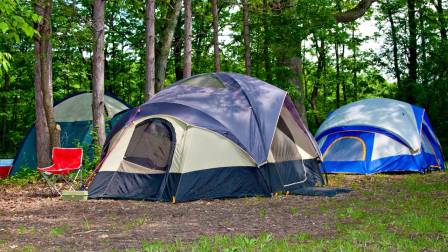 carpas