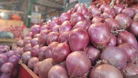 cebollas
