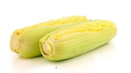 choclos