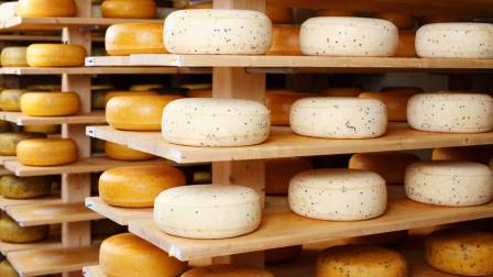 Día del Queso Peruano