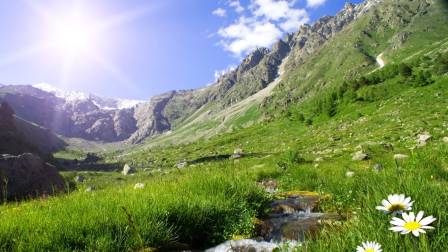 Día Mundial de la Naturaleza