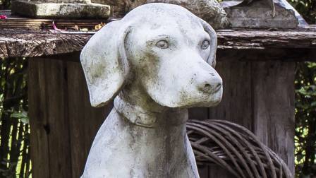 perros