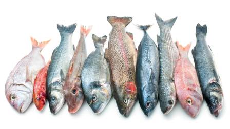 pescados