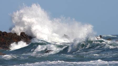 Día Mundial de los Mares