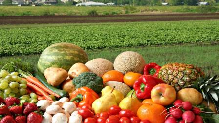 Día Mundial de la Inocuidad de los Alimentos