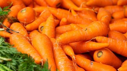 zanahorias