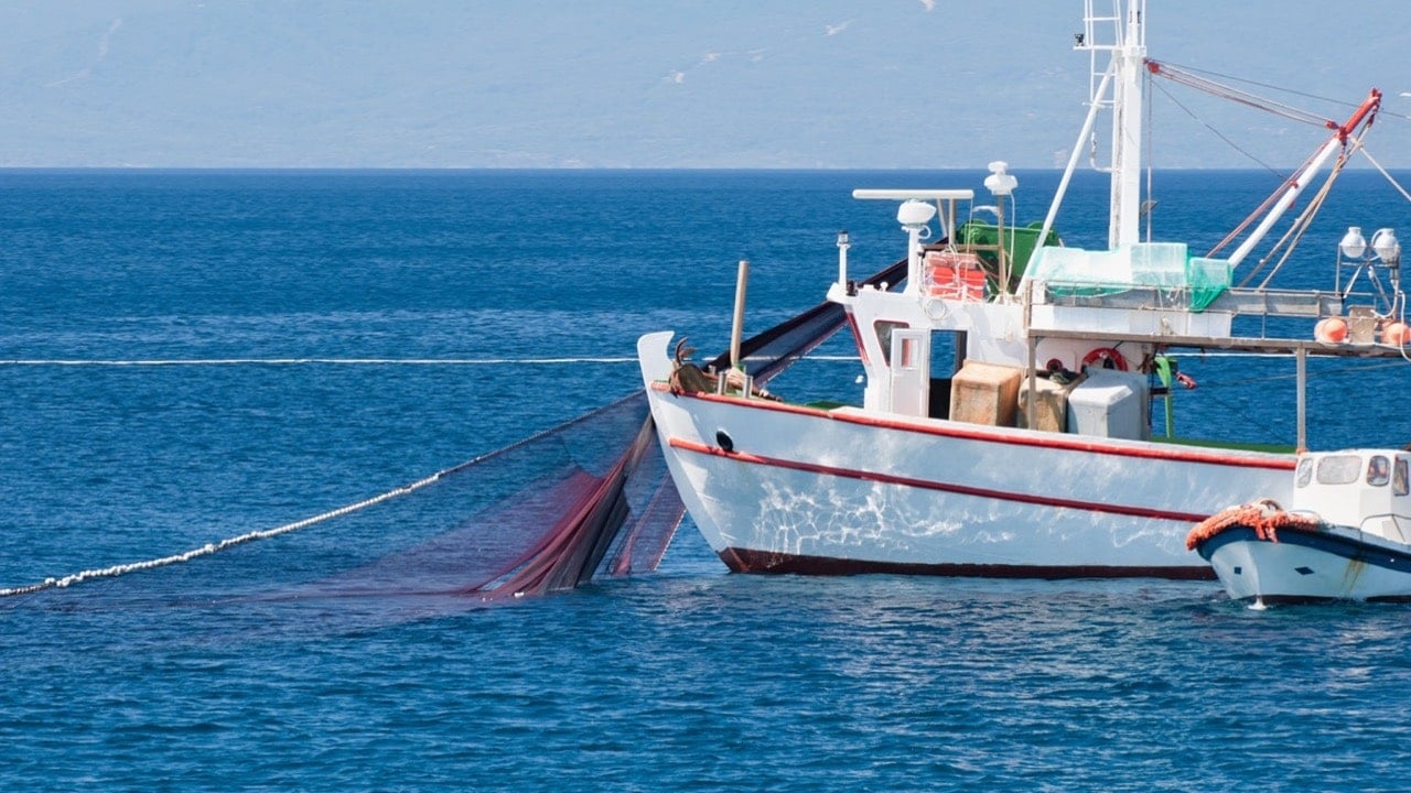 Da Internacional de la lucha contra la pesca ilegal, no declarada y no reglamentada